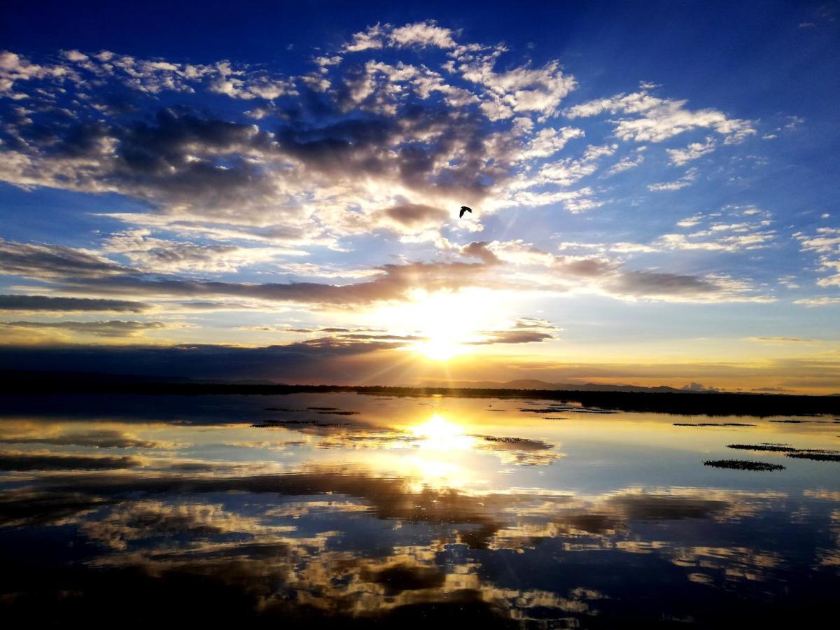 Titicaca Pansiyon Puno Dış mekan fotoğraf